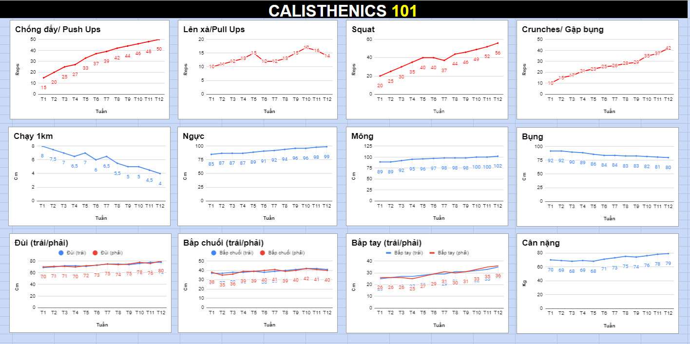 Calisthenics 101 tracking data